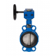 Затвор дисковый Danfoss VFY-WG Ду300 Ру16