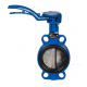 Затвор дисковый Danfoss VFY-WH Ду80 Ру16
