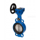 Затвор дисковый Danfoss VFY-WG Ду300 Ру16