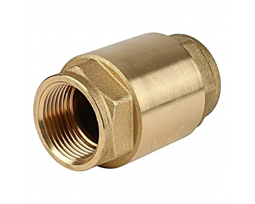 Клапан обратный Tiemme Eurostop 3506 ВВ 2"