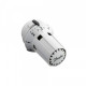 Danfoss (Данфосс) RAW 5110/RTRW 7081